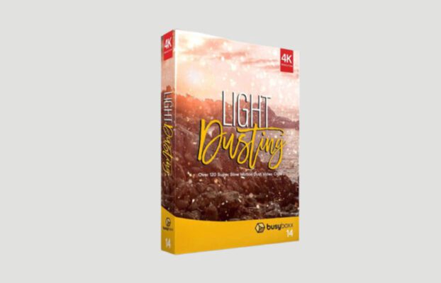BusyBoxx – V14 Light Dusting