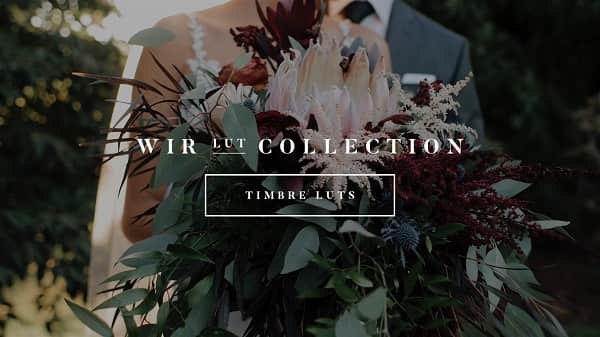 White In Revery – Timbre LUTs