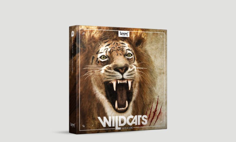 Boom Library – Wildcats: Tigers & Lions