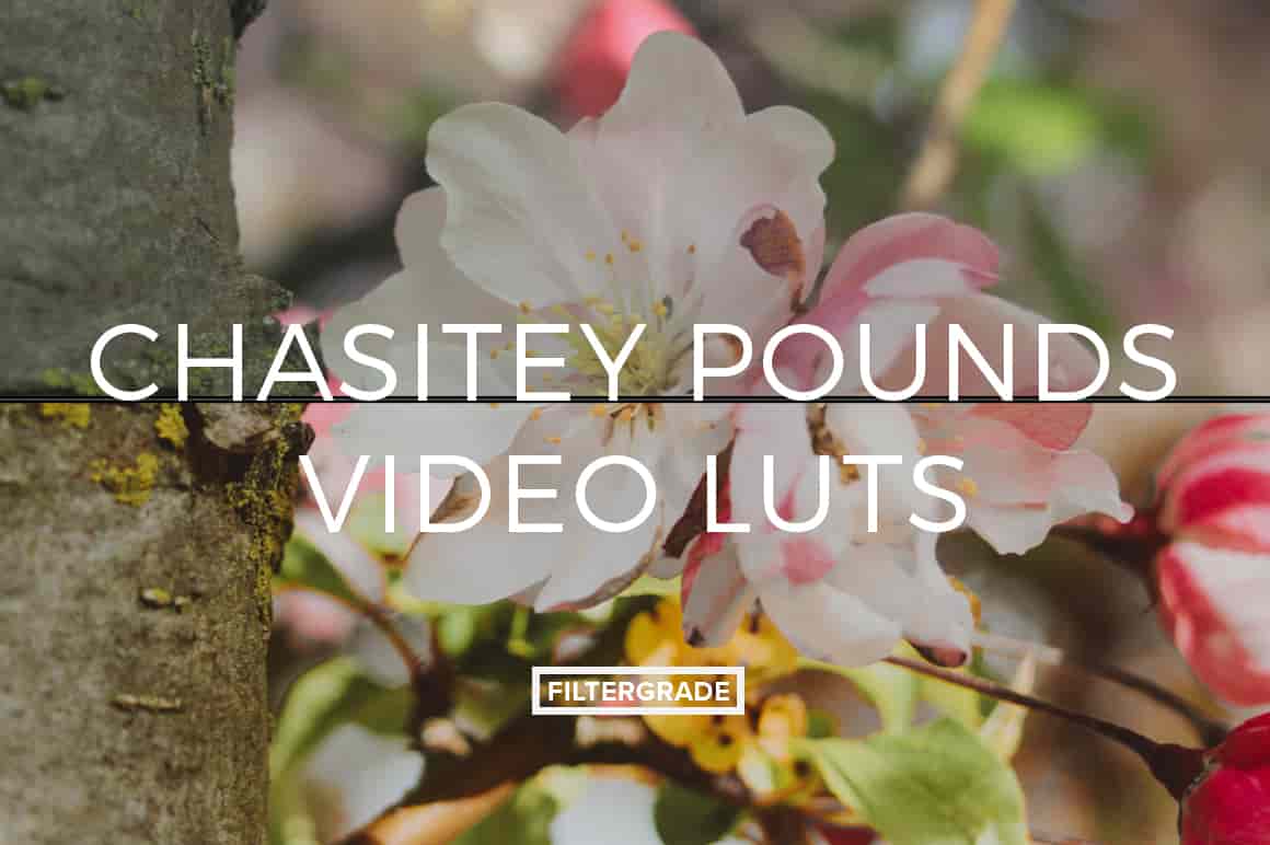 FilterGrade – Chasitey Pounds Video LUTs