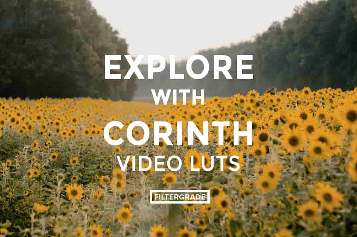 FilterGrade – Explore with Corinth Suarez Video LUTs