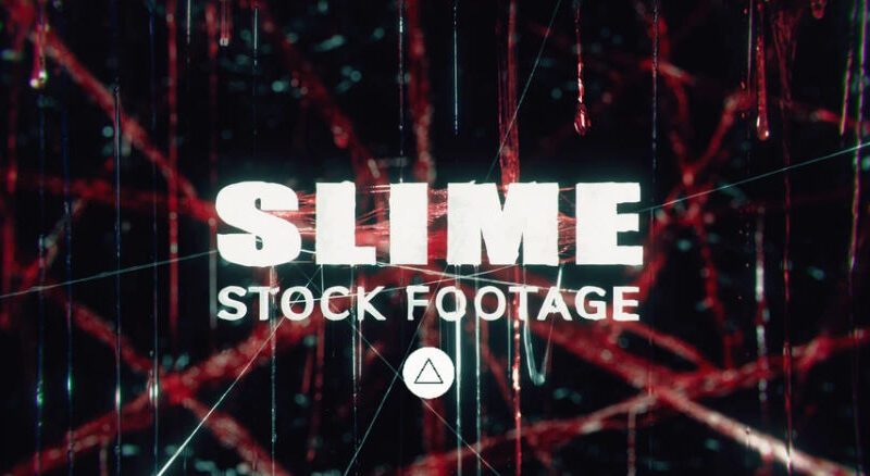 Triune Digital – SLIME STOCK ASSETS