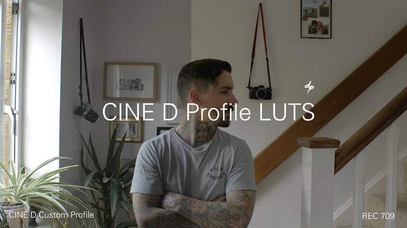 Daniel John Peters – LUMIX CINE D LUTS