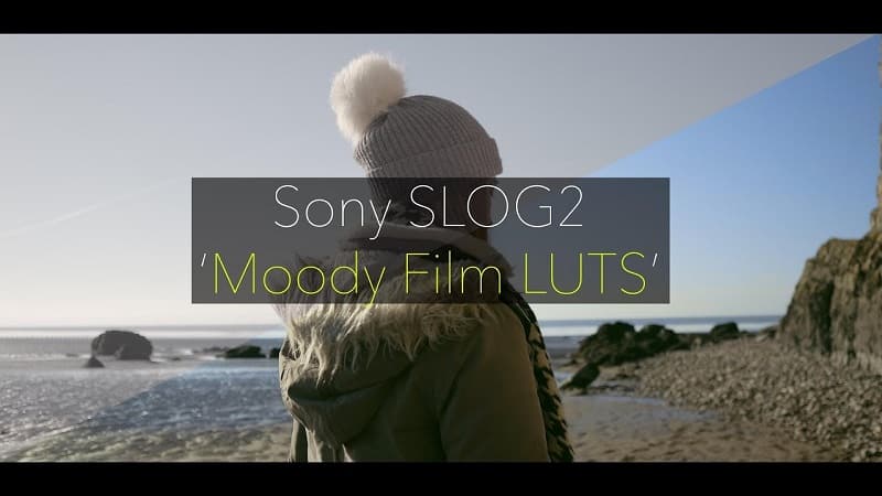 Daniel John Peters – Sony Slog2 MOODY FILM LUTs