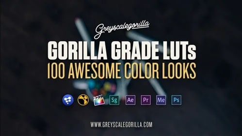 Gorillla Grade LUTs