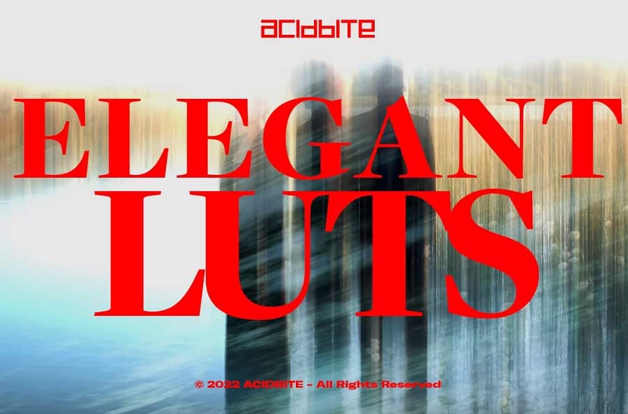 ACIDBITE – Elegant LUTs
