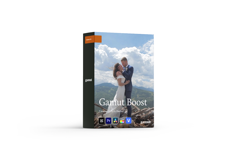 Gamut – Boost LUTs