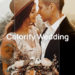 Pixflow – Colorify Wedding Essential Pro