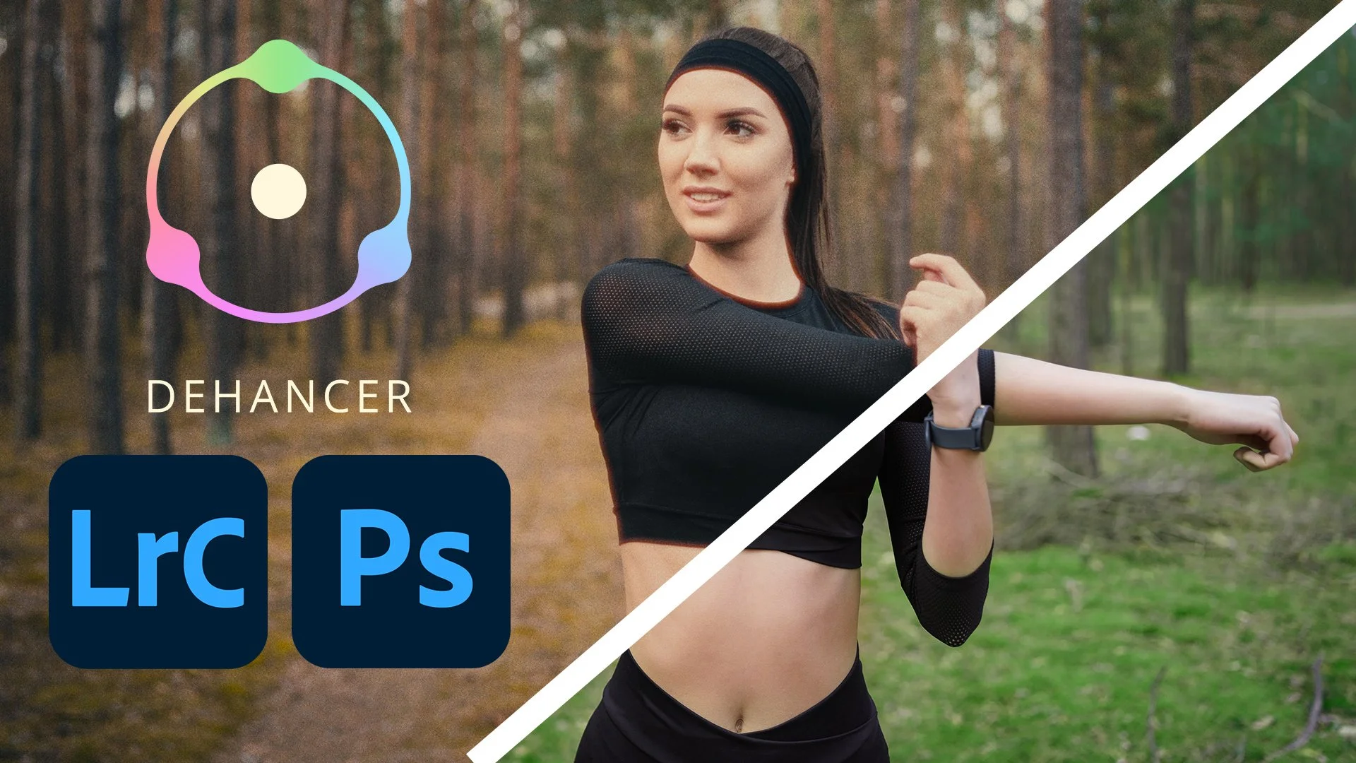Dehancer Film v2.8.0 (WIN)