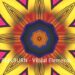 REELBURN - Visual Elements