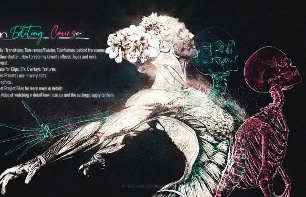FAYN – MASTER BUNDLE